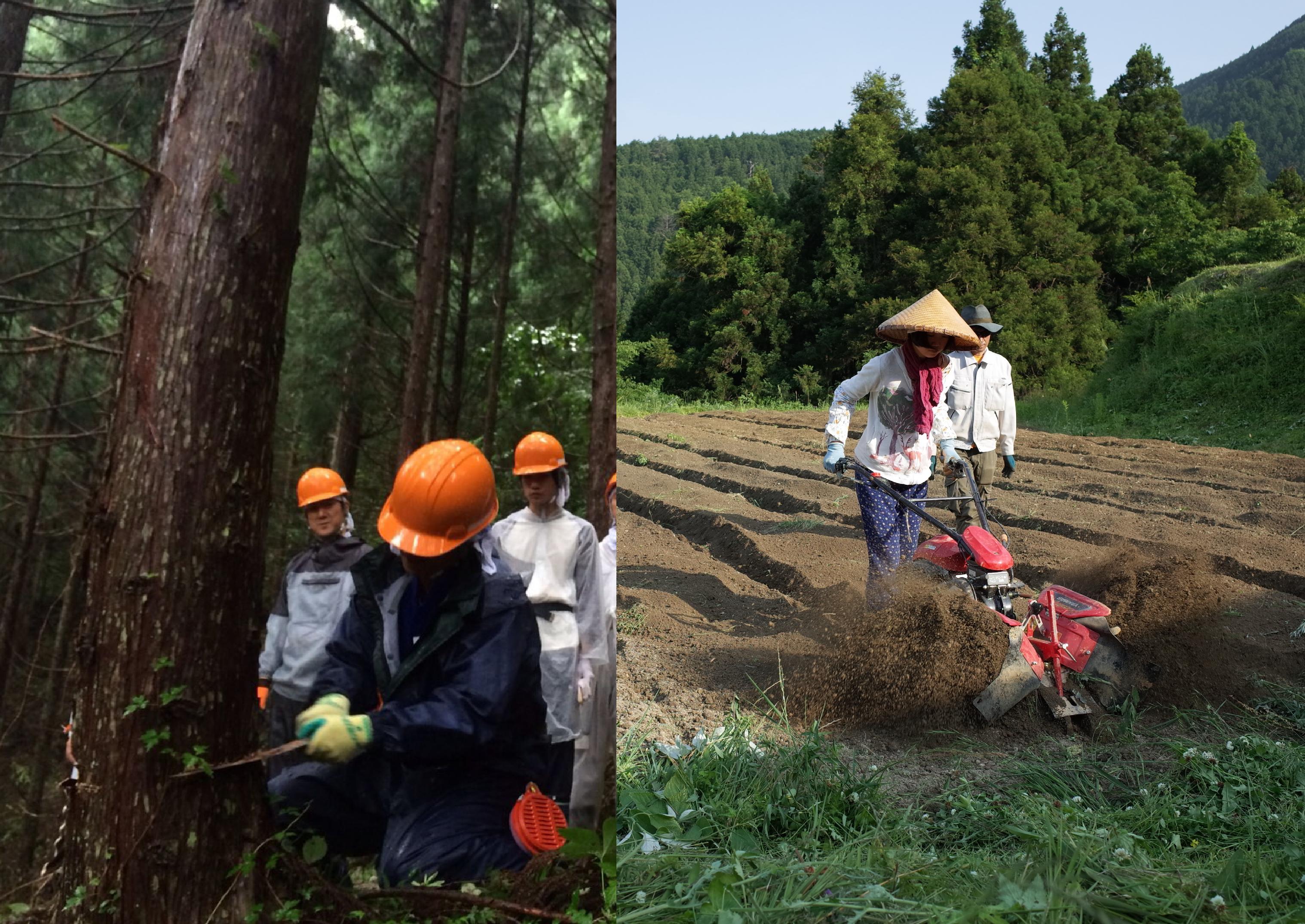 農林業担い手育成、移住・定住促進事業